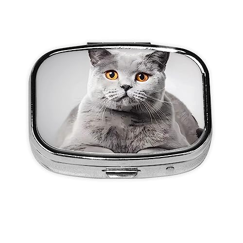 リモージュボックス 猫　ハート　小箱 ピルケース リモージュボックスBOX・キャット猫シリーズ①新品フランス製
